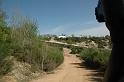 rass_2008 (85)